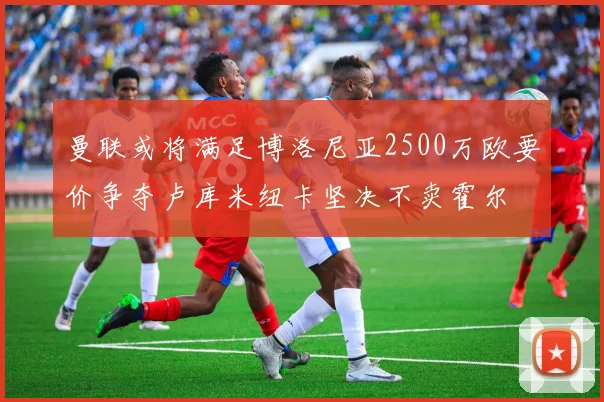 曼联或将满足博洛尼亚2500万欧要价争夺卢库米纽卡坚决不卖霍尔