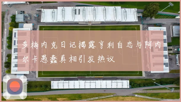 多梅内克日记揭露亨利自恋与阿内尔卡愚蠢真相引发热议
